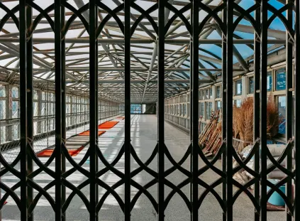 Paripesa Casino Mobil App